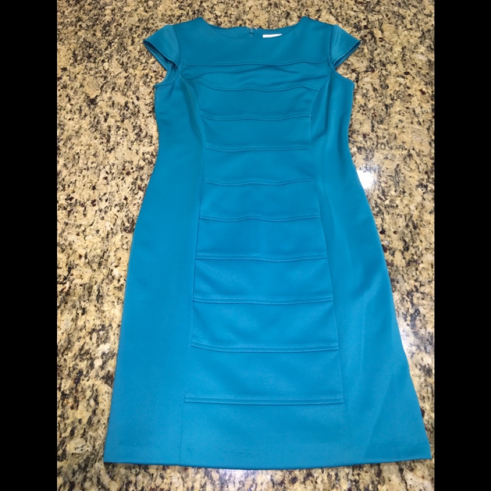 Sandra Darren Shift Dress 6